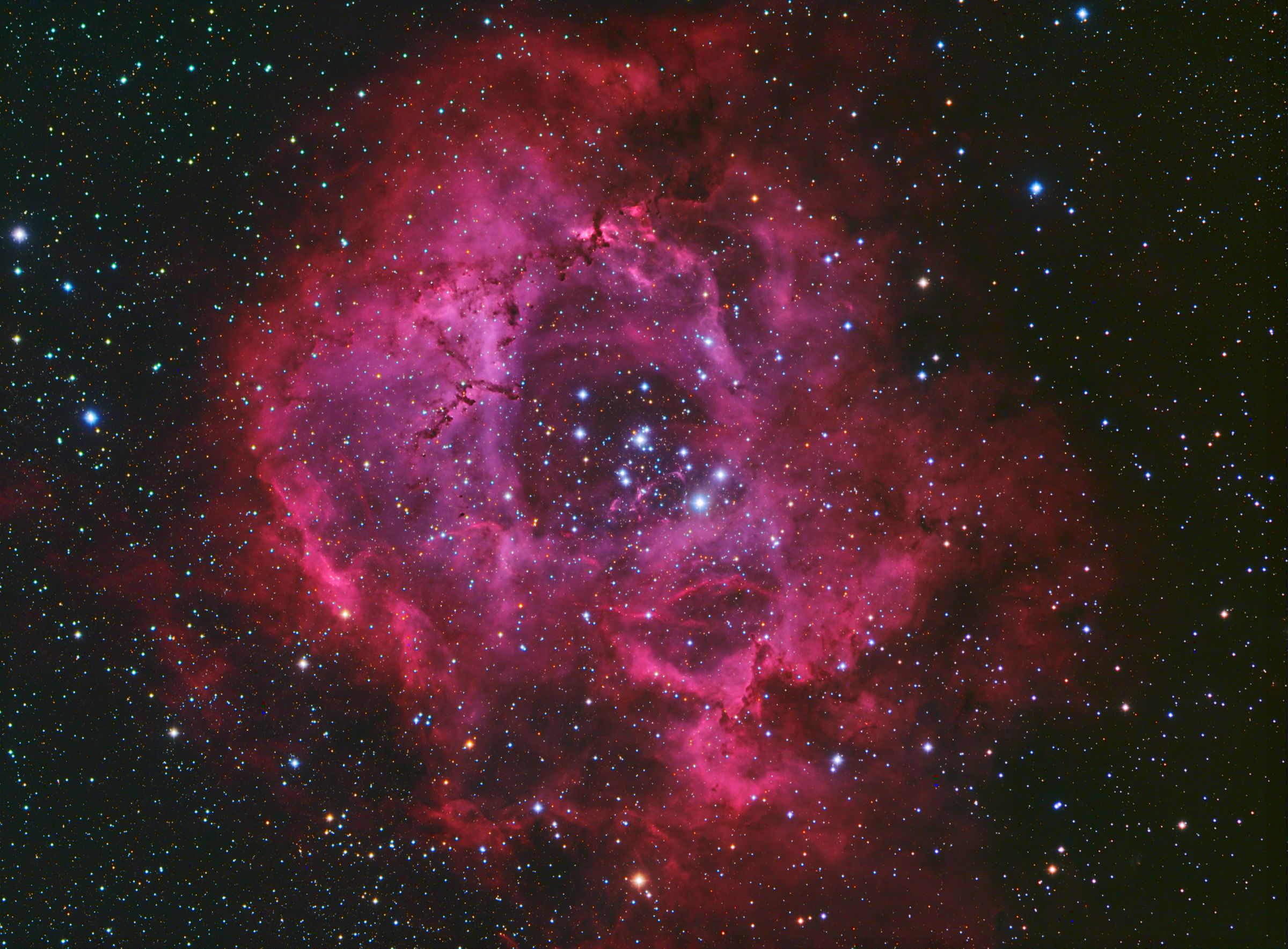 1 2 Rosette Nebula