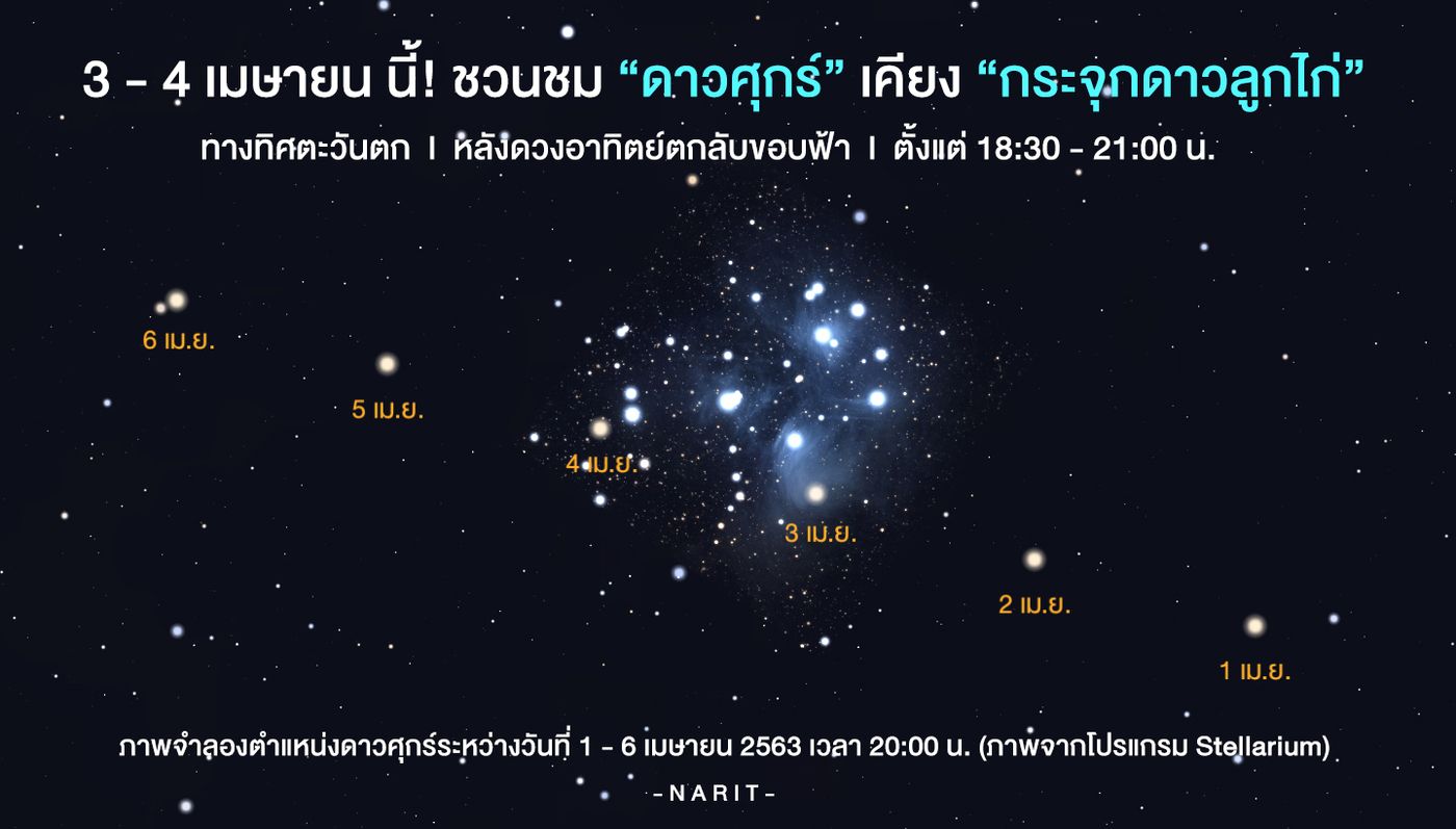 สดร. ชวนชม “ดาวศุกร์เคียงกระจุกดาวลูกไก่” หัวค่ำ 3 - 4 เมษายนนี้ ใกล้สุดในรอบ 8 ปี