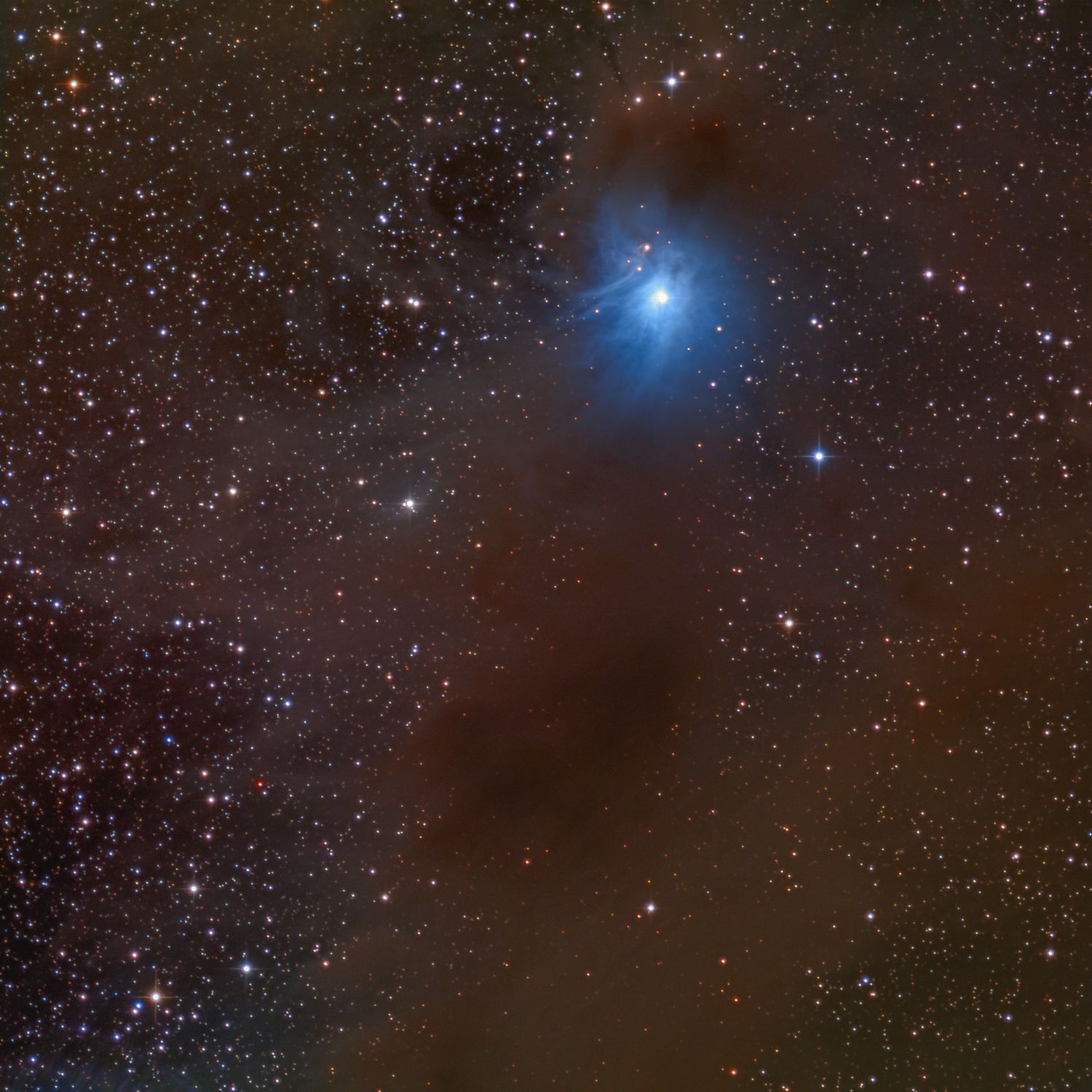 IC 2631 LRGB