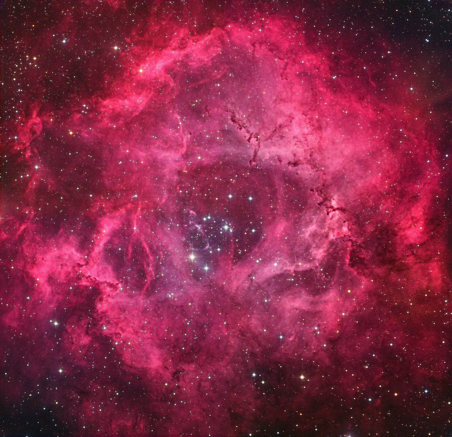 Rosette Nebula