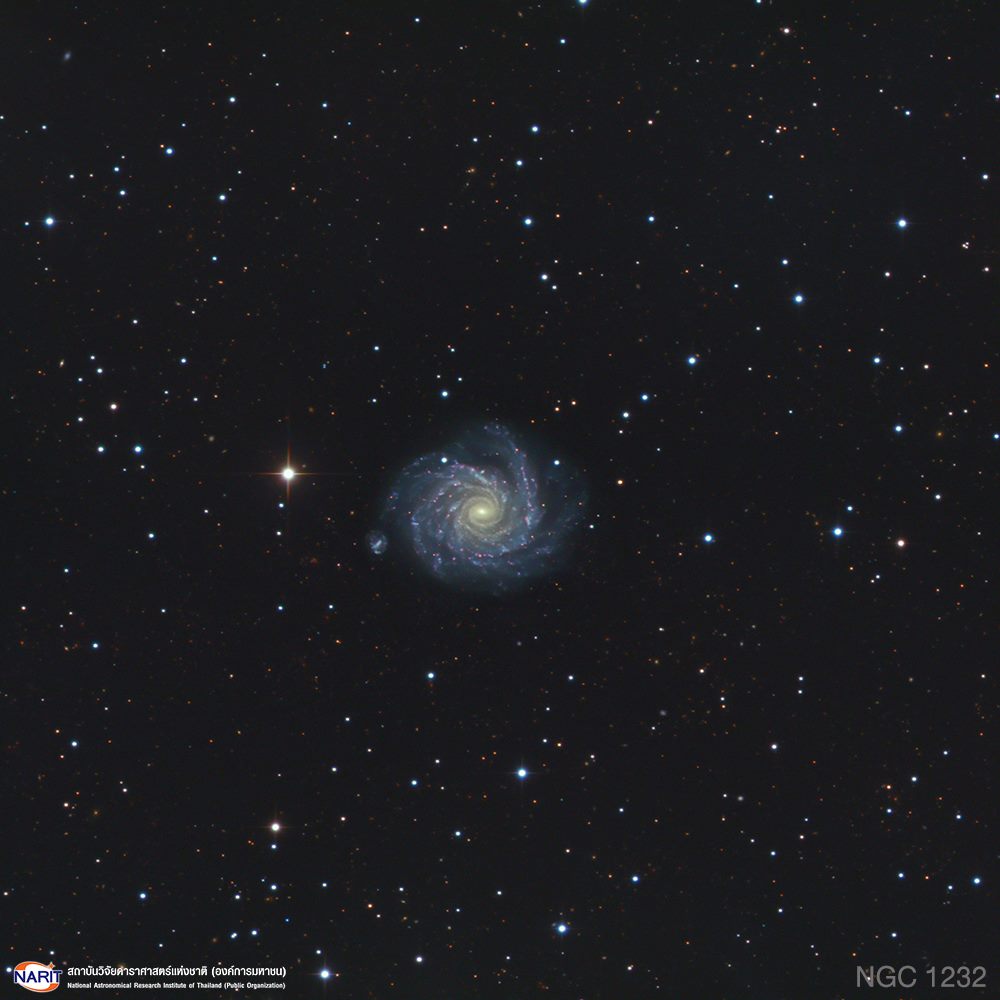 NGC 1232